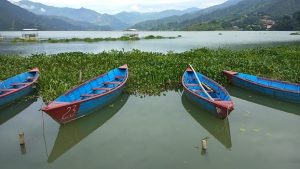 माछापुच्छ्रे फेवातालको यसरी हुँदै छ हरिबिजोग ?